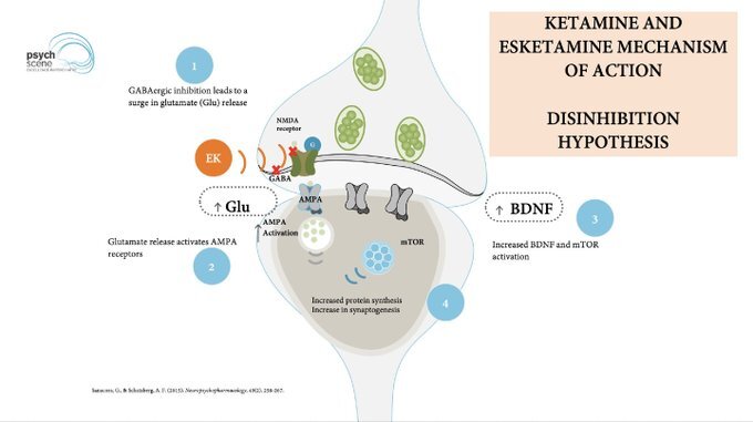 ketamine dissociation mechanism